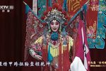 穆桂英挂帅 全集