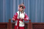 桃花村 全集下载