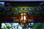 京剧篇程派专场