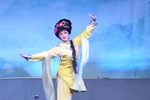 雅娘 全集下载