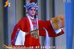 杨门女将 全集