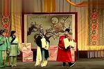 杨门女将 全集下载