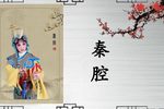 白花曲 全集下载