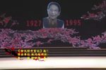 汧国夫人 全集下载