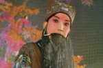 智收姜维 全集下载