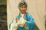 斩王秀兰 全集下载