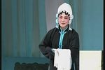 东京 赵美容观灯全剧下载