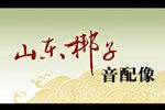 樊梨花征西 全集下载