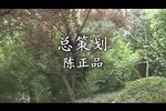 泪美人 全集下载