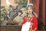 家花没有野花香 全集下载