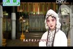 包公梦蝶 全集下载