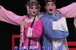 墙头记 全集下载