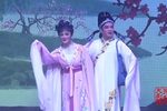 何文秀 全集下载