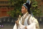 西园记 全集下载