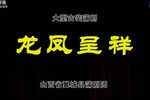 龙凤呈祥 全集下载