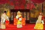 忠报国 全集下载