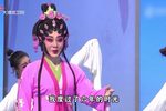 陈韵红粤剧艺术专场下载