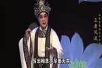 林家宝粤剧艺术专场下载