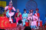 巴九寨 全集下载