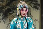 庄王求将 全集下载
