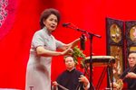 红梅阁下载