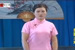 何文秀私访下载