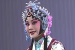 穆桂英挂帅 全集下载