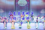杨门女将 下集下载