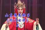 杨门女将 上集下载