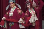 花为媒 全集下载