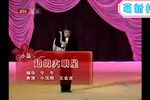 我是大明星下载