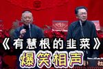有慧根的韭菜下载