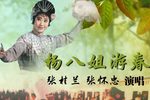 杨八姐游春
