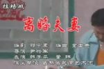 离婚夫妻