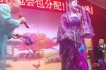 包公赔情下载