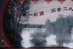 老葡梅架下载