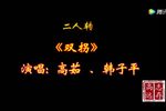 双拐