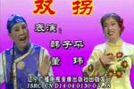 双拐