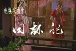 回杯记