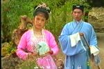 回杯记