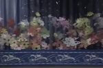 王祥卧鱼下载