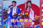 杨八郎探母