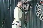 杨八郎探母 全集