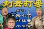 刘云打母