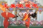 王美荣观花下载