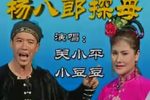 杨八郎探母