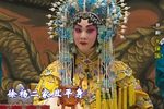 大保国 探皇陵 二进宫下载