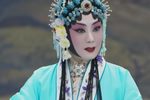 孙安动本 全集下载