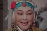 花枪缘 对花枪 全集