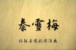 秦雪梅 全集下载